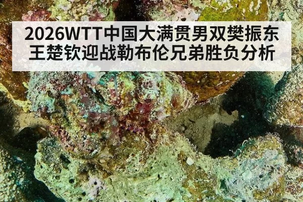 2026WTT中国大满贯男双樊振东王楚钦迎战勒布伦兄弟胜负分析
