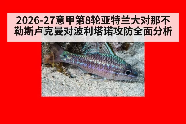 2026-27意甲第8轮亚特兰大对那不勒斯卢克曼对波利塔诺攻防全面分析